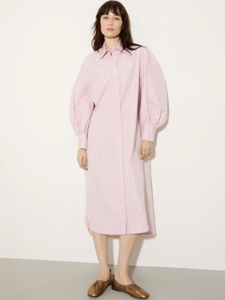 Cotton-poplin shirt dress - powder